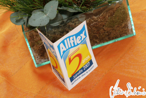 ALLFLEX – 5 anos identificando idéias de sucesso.