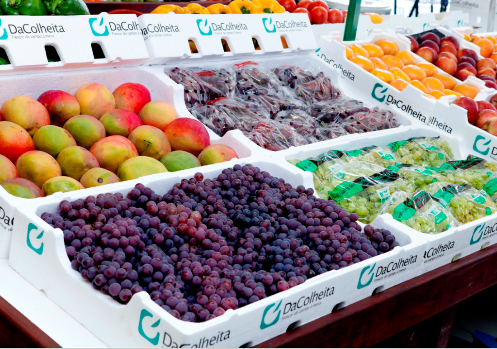 Conservadoras para frutas DaColheita serão destaque em evento internacional de FLV como solução contra o desperdício de alimentos