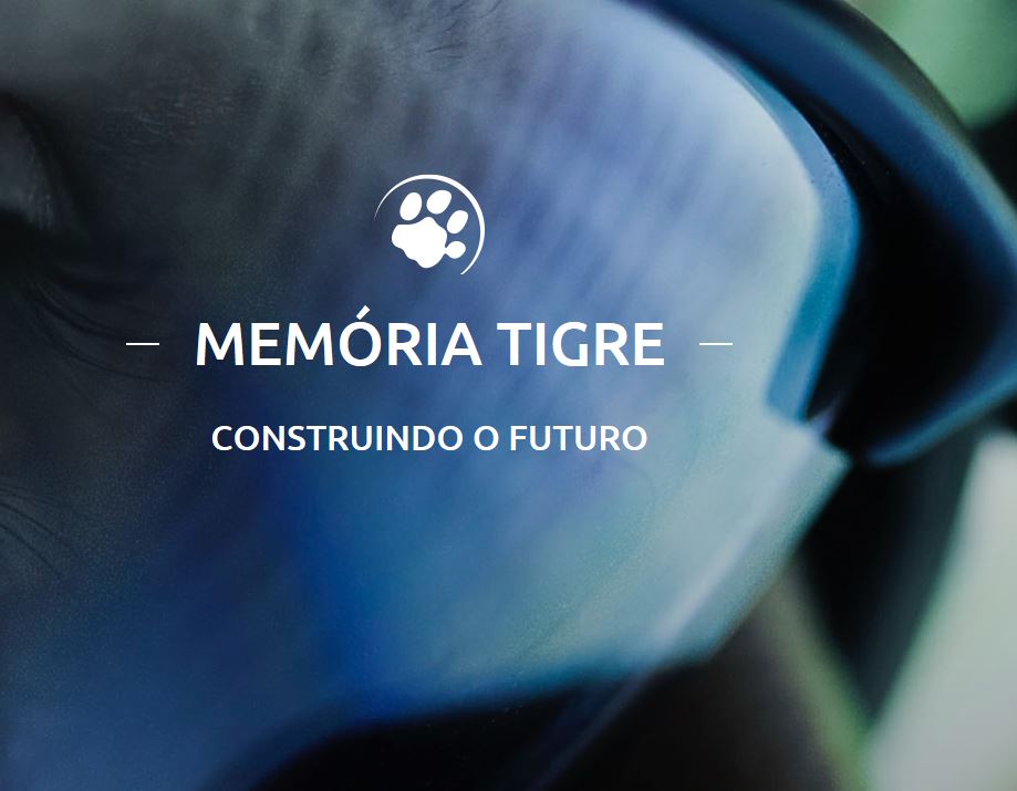 Memória Tigre 75 anos