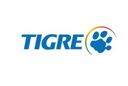 TIGRE – Mais valiosas