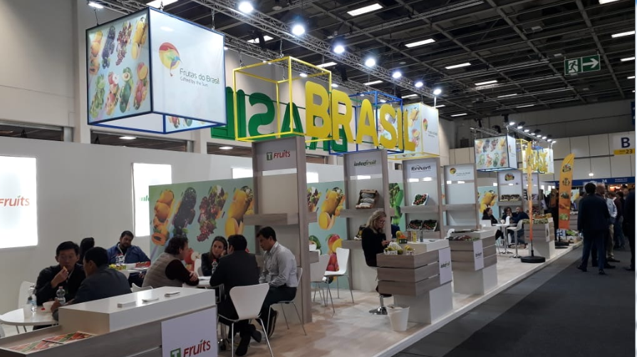 TERMOTÉCNICA – Na Fruit Logistica Berlin, Termotécnica fechou acordo com importadores russos para acondicionar lotes de limão Tahiti produzidos no Brasil