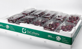 TERMOTÉCNICA – Covid-19: Embalagens em EPS aumentam segurança alimentar de produtos frescos