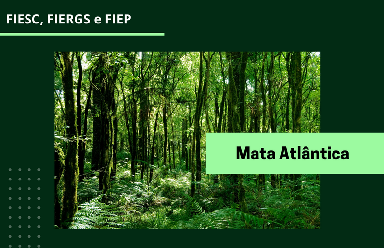 INDÚSTRIA DO SUL defende aplicação do Código Florestal em área de Mata Atlântica