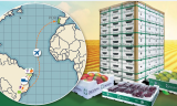 TERMOTÉCNICA – Soluções de embalagens DaColheita contribuem para a redução da pegada ambiental no transporte de frutas