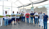 TECNOPERFIL – Inauguração do Centro de Cultivo Hidropônico da Tecnoperfil