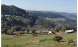 PROJETO DE LEI defende aplicação do Código Florestal à Mata Atlântica