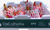TERMOTÉCNICA – Atendendo os maiores produtores brasileiros de pitaya do país, as soluções DaColheita farão parte 2º Simpósio Brasileiro das Pitayas, na Esalq, em Piracicaba (SP)
