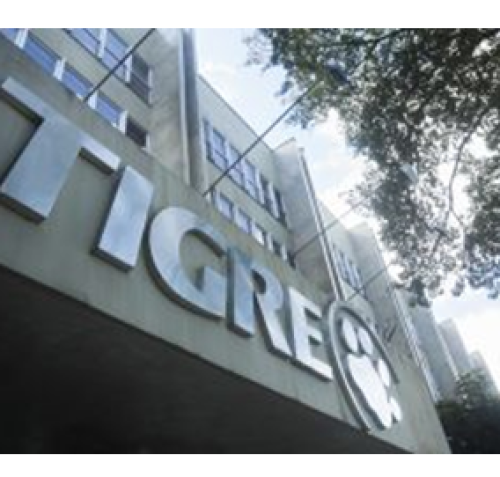 Tigre abre inscrições para o curso de pintura de obras em Joinville (SC)