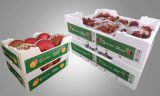 EMBALAGENS DaColheita estarão expostas no principal evento mundial de fruticultura