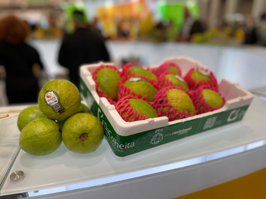 TERMOTÉCNICA – Inovações sustentáveis do Brasil são apresentadas durante a Fruit Logistica 2025 na Alemanha