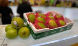 TERMOTÉCNICA – Inovações sustentáveis do Brasil são apresentadas durante a Fruit Logistica 2025 na Alemanha