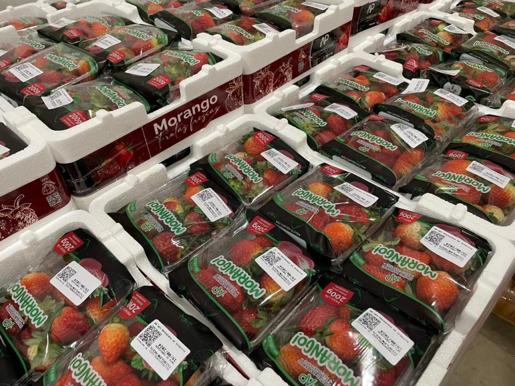TERMOTÉCNICA amplia soluções DaColheita com novas embalagens para produtores de morango