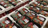 TERMOTÉCNICA amplia soluções DaColheita com novas embalagens para produtores de morango