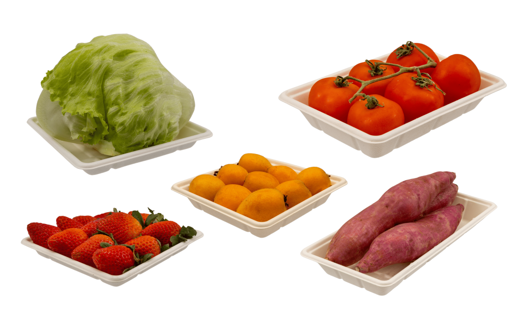 TERMOTÉCNICA – DaColheita apresenta soluções sustentáveis e inovadoras, nesta semana, na The Brazil Conference & Expo 2025