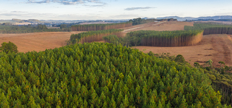 ADI sobre Código Ambiental de SC pode comprometer 244 mil empregos, diz FIESC