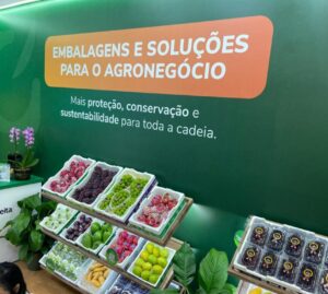 TERMOTÉCNICA – Conservadoras de EPS para frutas ganham novas oportunidades devido ao acordo com a União Europeia