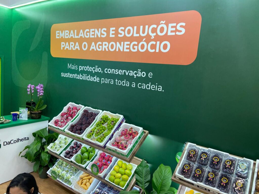 TERMOTÉCNICA – Conservadoras de EPS para frutas ganham novas oportunidades devido ao acordo com a União Europeia