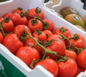 DaColheita promove linha de conservadoras no maior encontro da horticultura brasileira promovido pela Ibrahort