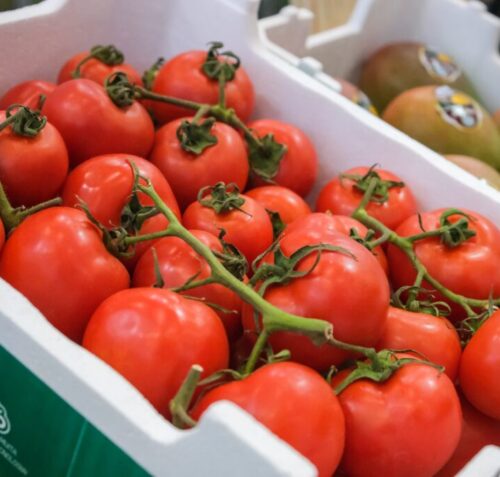 DaColheita promove linha de conservadoras no maior encontro da horticultura brasileira promovido pela Ibrahort