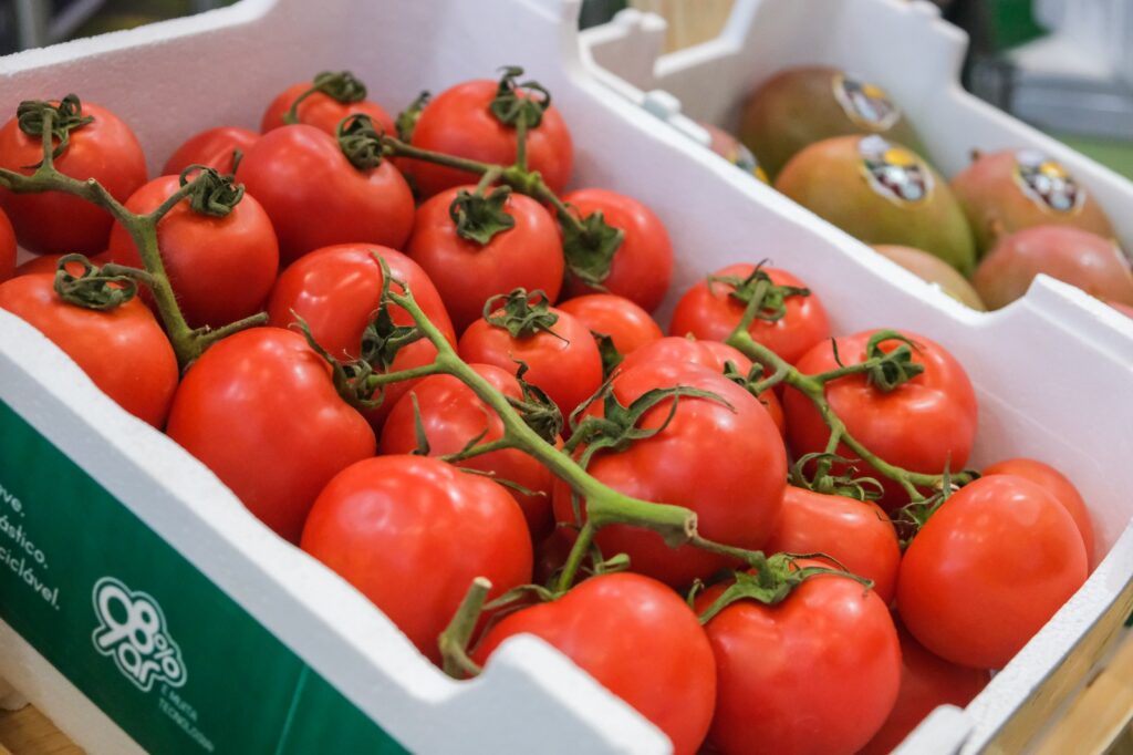 DaColheita promove linha de conservadoras no maior encontro da horticultura brasileira promovido pela Ibrahort
