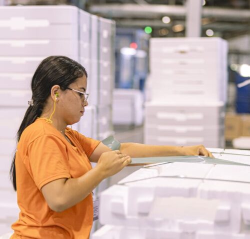 TERMOTÉCNICA destaca ganhos logísticos e de sustentabilidade com embalagem iPack para eletroeletrônicos e eletrodomésticos na Eletrolar 2026