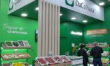 Soluções em EPS para Frutas, Legumes e Verduras da linha DaColheita são destaque na Hortitec, em Holambra